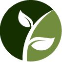 Crepe Myrtle Removal Pros