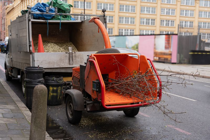 Crepe Myrtle Removal