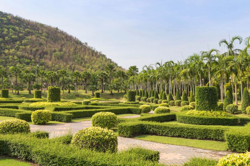 Landscape with Neatly Trimmed Shrubs