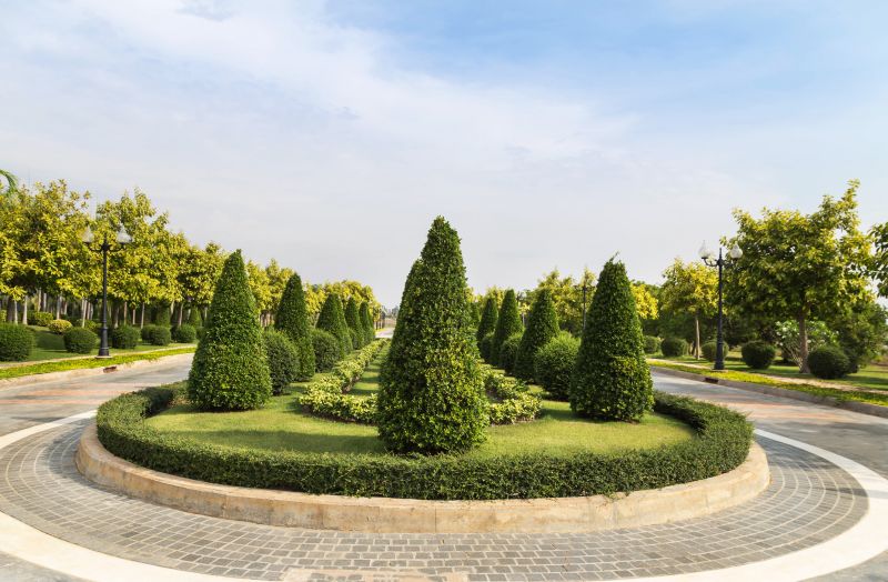 Shrubs with Rounded Shapes